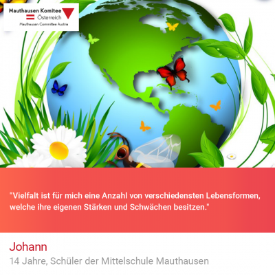 Virtuelle Gedenkwochen Statement Johann, 14 Jahre, Schüler der Mittelschule Mauthausen