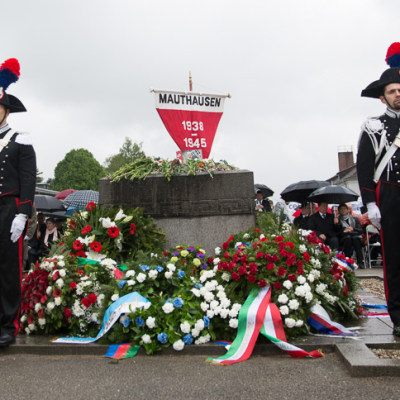 Liberation and Commemoration Ceremony 2014 © MKÖ
