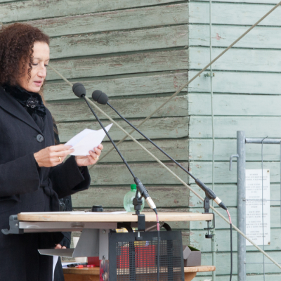 Liberation and Commemoration Ceremony 2014 © MKÖ