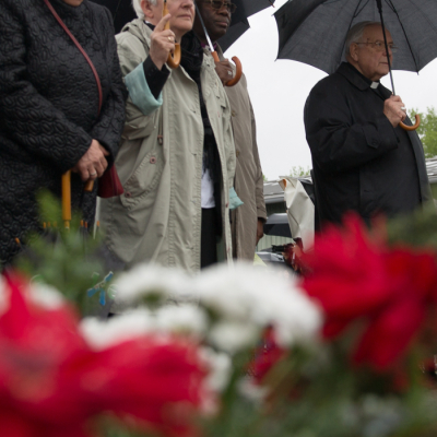 Liberation and Commemoration Ceremony 2014 © MKÖ