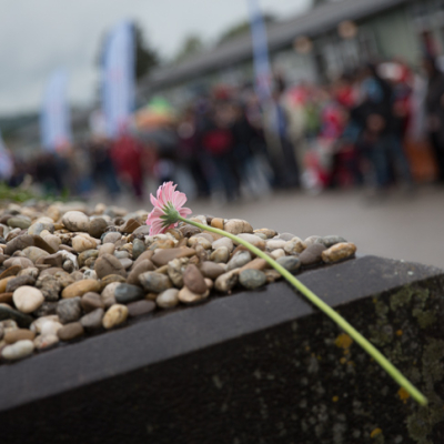 Liberation and Commemoration Ceremony 2014 © MKÖ