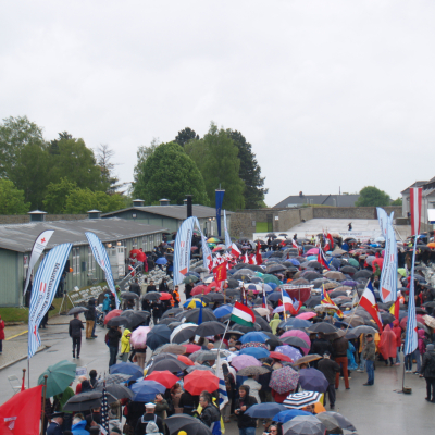 Liberation and Commemoration Ceremony 2014 © MKÖ
