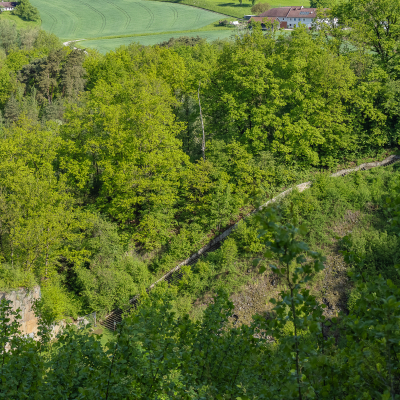 Jugendgedenkfeier 2021 © MKÖ/Samuel Haijes