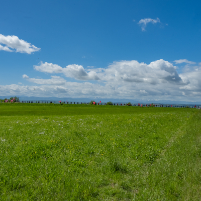 Jugendgedenkfeier 2021 © MKÖ/Samuel Haijes