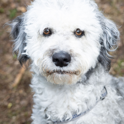 Walk of Solidarity 2022 Gunskirchen © MKÖ/Sebastian Philipp