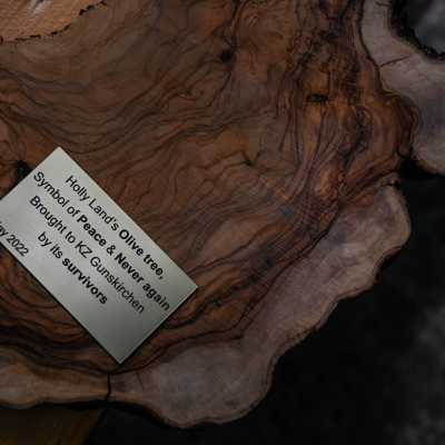 Walk of Solidarity 2022 Gunskirchen © MKÖ/Sabine Schatz