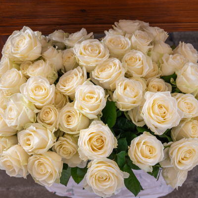 Liberation and Commemoration Ceremony 2024 Highlights © MKÖ/Samuel Haijes