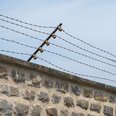 Liberation and Commemoration Ceremony 2024 Highlights © MKÖ/Samuel Haijes
