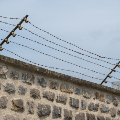 Liberation and Commemoration Ceremony 2024 Highlights © MKÖ/Samuel Haijes