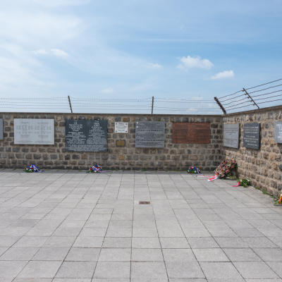 Liberation and Commemoration Ceremony 2024 Highlights © MKÖ/Samuel Haijes