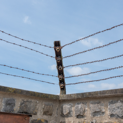 Liberation and Commemoration Ceremony 2024 Highlights © MKÖ/Samuel Haijes