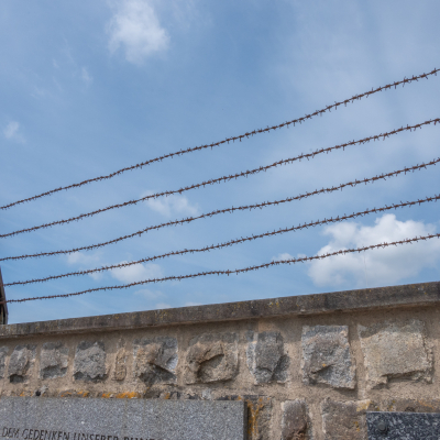 Liberation and Commemoration Ceremony 2024 Highlights © MKÖ/Samuel Haijes