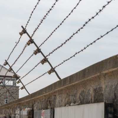 Liberation and Commemoration Ceremony 2024 Highlights © MKÖ/Samuel Haijes