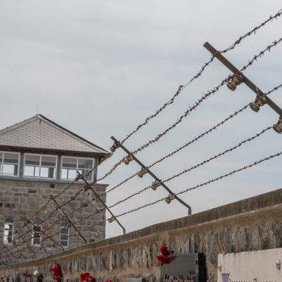Liberation and Commemoration Ceremony 2024 Highlights © MKÖ/Samuel Haijes
