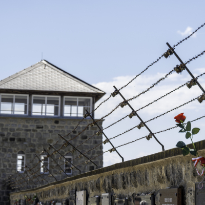 Befreiungsfeier 2025 Highlights © MKÖ/Samuel Haijes