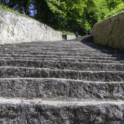 Jugendgedenkfeier 2025 © MKÖ/Samuel Haijes