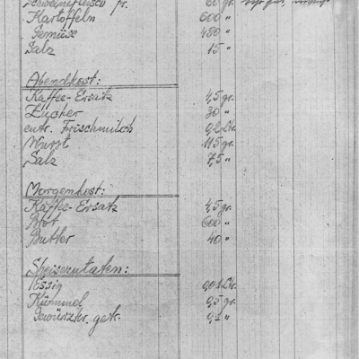 Wiener Neustadt Faksimile Tagebuch SS Küche  &copy;  AMM